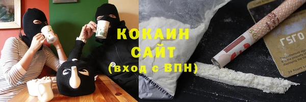 ГАЛЛЮЦИНОГЕННЫЕ ГРИБЫ Инсар