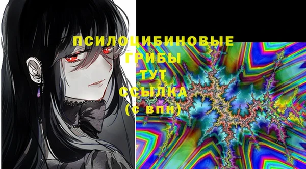 стафф Нефтекумск