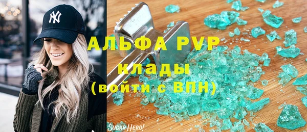 дживик Касимов