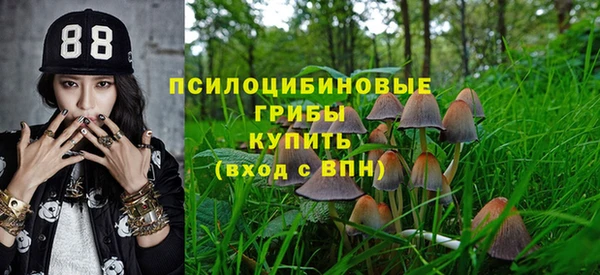 мескалин Каменка
