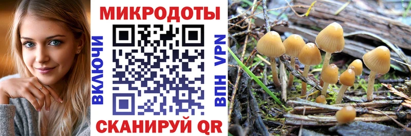 блэк спрут зеркало  магазин продажи наркотиков  Костерёво  Галлюциногенные грибы прущие грибы 